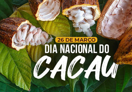 Dia do Cacau