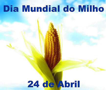 Dia Mundial do Milho